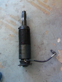 Mercedes Benz - Strut - Shock - WITH ABC
